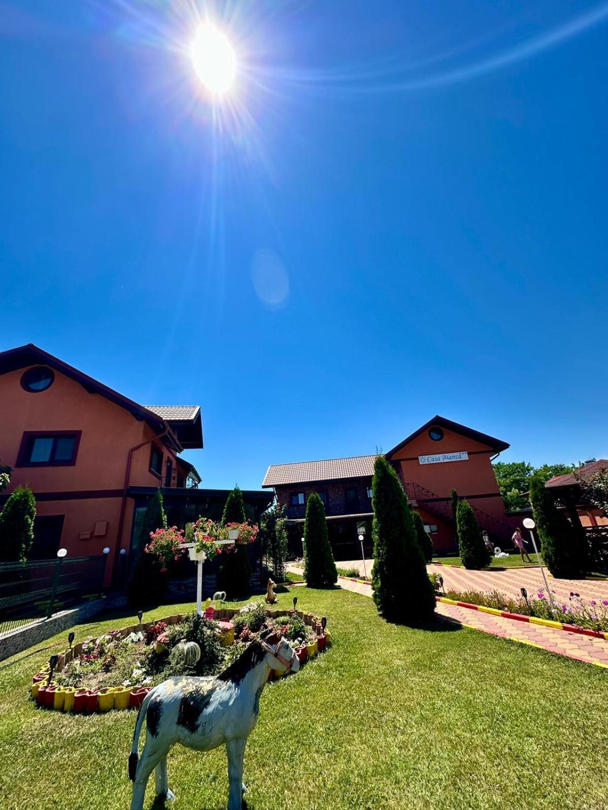 Pensiunea Bianca Hotel Corbu  Exterior photo