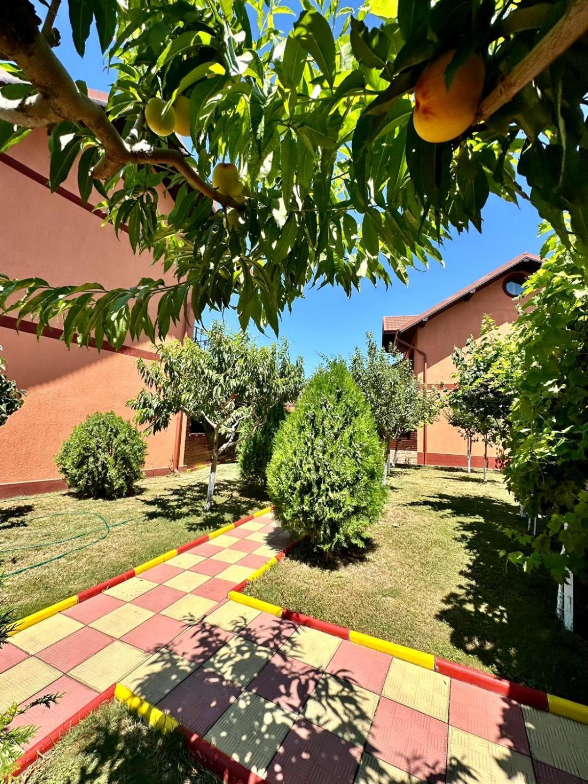 Pensiunea Bianca Hotel Corbu  Exterior photo